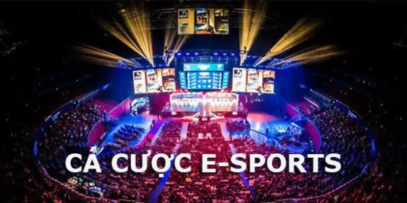 Các thông tin cơ bản về cá cược esport